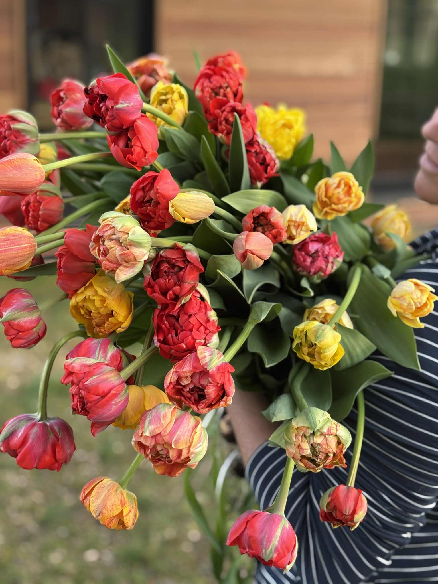 CSA Flower Subscriptions – Fresh, Local, Seasonal Beauty All Year Long