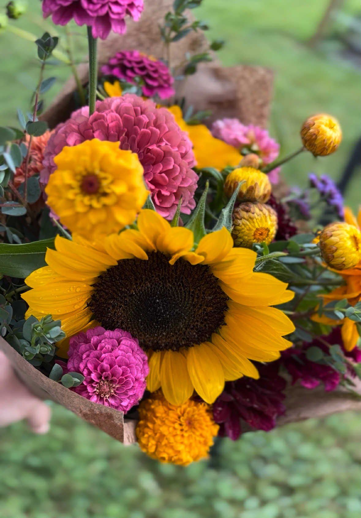 CSA Flower Subscriptions – Fresh, Local, Seasonal Beauty All Year Long