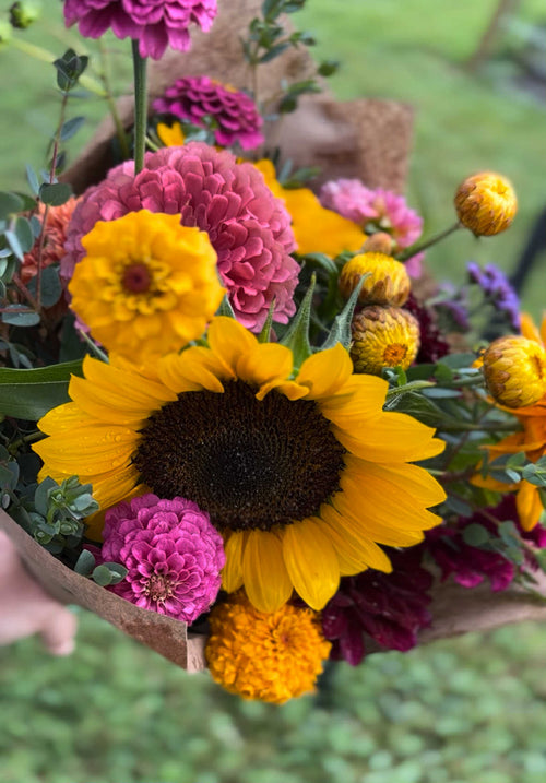 CSA Flower Subscriptions – Fresh, Local, Seasonal Beauty All Year Long