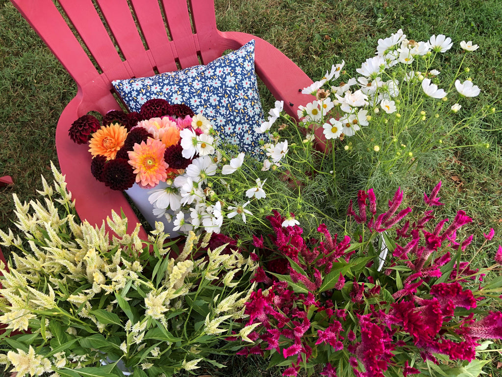 Pick Your Own Bouquet