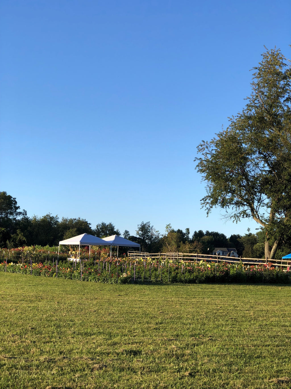 Schedule Your Private Event