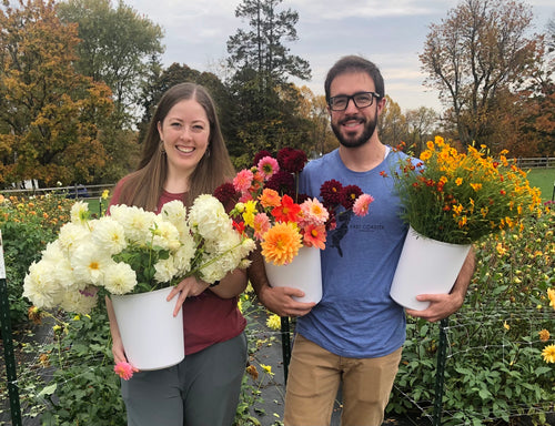 Pick Your Own Bouquet