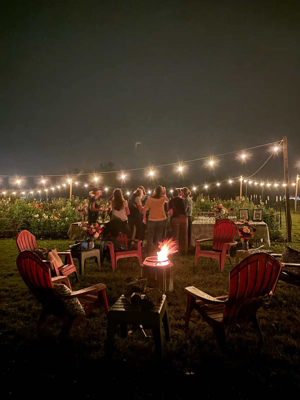 Ladies Night Out Pass